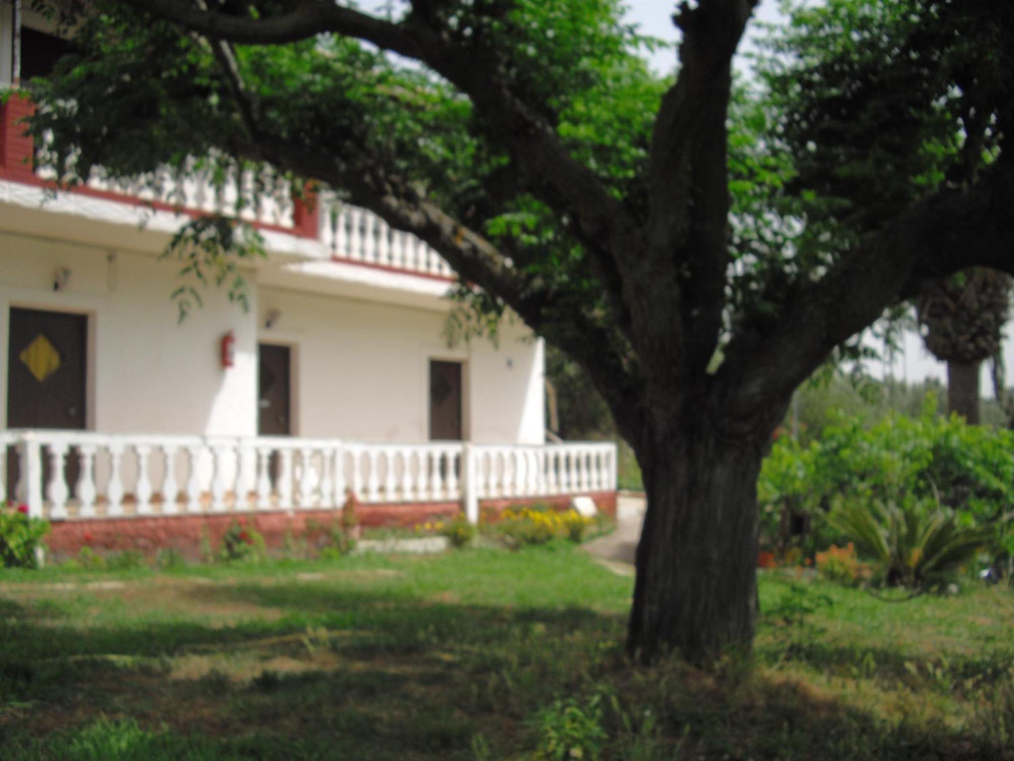 Corfu Country House Vitaládes Room photo